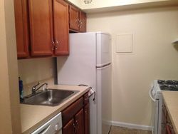  Elmwood Park Dr Apt 1