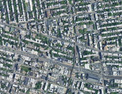  Lefferts Pl