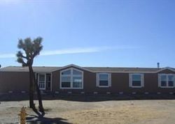  Yucca Terrace Dr