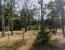  Rainier Acres Rd Se