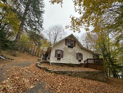 Canadensis