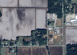 East Palatka