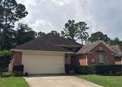  Candlepine Dr