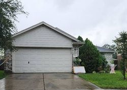  Texas Acorn Ave