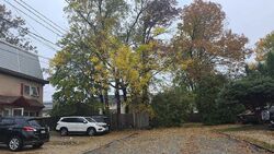  School St