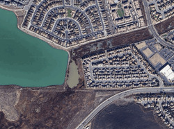  Peppergrass Dr