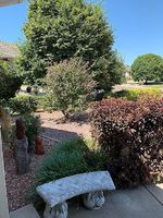  Chaparral Cir