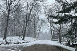  Cayuga Rd