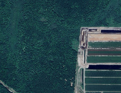Black River Falls