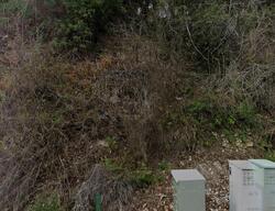 Oak Knoll Rd