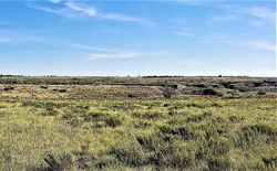  Bluff Ridge Trl