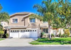  Shadowgrove Dr