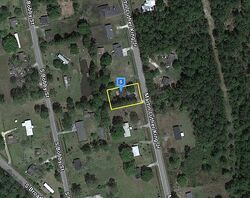  Martin Luther King Jr