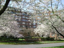  Tunlaw Rd Nw Apt 527