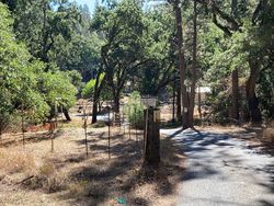  Ponderosa Annex Rd