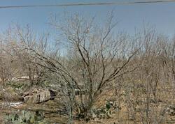  S Haskell St