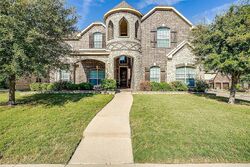 Lacebark Elm Dr