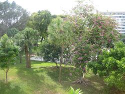  Hillcrest Dr Apt 307