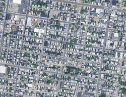  Chancellor St
