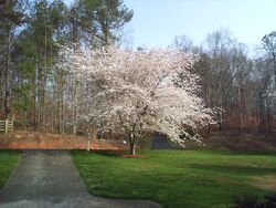  Old Mill Rd