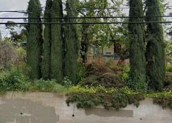  Solano Ave