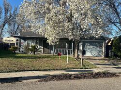  Evelyn Ln