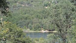  Dry Creek Ln