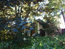  11th Ave Ne
