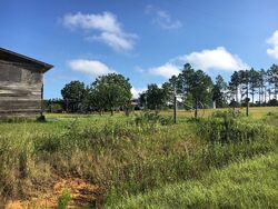  Dicksons Mill Pond Rd