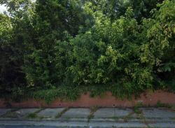  Pershing St