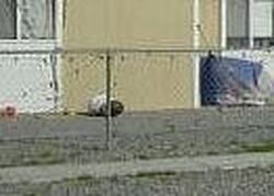 Fallwood St