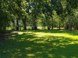  Schurmier Rd