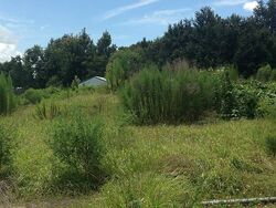  Country Trails Dr