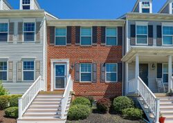 Acanthus St