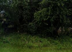  Coldwater Ln