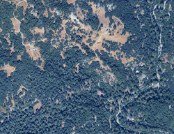 Cazadero