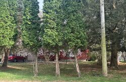  Lake Of The Pines Blv