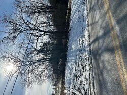  Avawam Dr