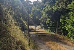 Carmel Valley