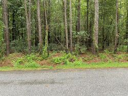 Adams Run