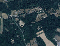 Pine Grove