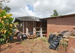 Wahiawa