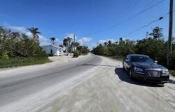 Pineland Rd