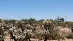  E Garigans Gulch