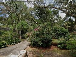  Shelley Dr