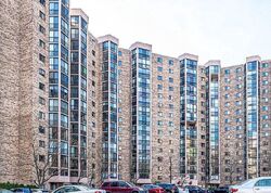 Mount Eagle Dr Apt 40