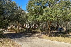  Blackjack Oak