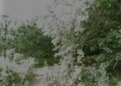 Byrds Mill Rd