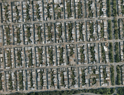  19th Ave