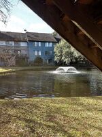  Shadow Lake Cir